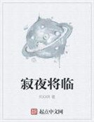 《寂夜将临》