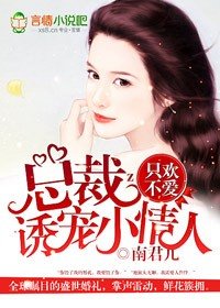 《總裁的愛人/只歡不愛,總裁誘寵小愛人》