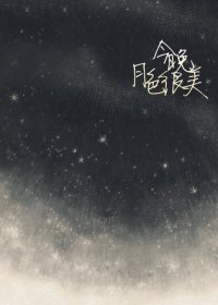 《今晚月色很美》