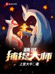 《精灵捕捉大师》