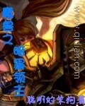 《魔兽之暗黑领主》