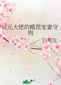 《状元大佬的模范宠妻守则》