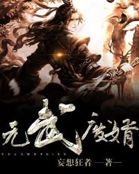 《元武废婿》