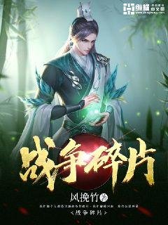 《战争碎片》