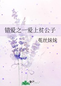 《错爱之一爱上贫公子》