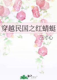 《穿越民国之红蜻蜓》