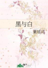 《黑与白》