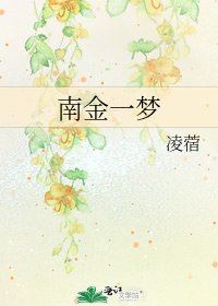 《南金一梦》