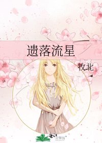 《遺落流星》