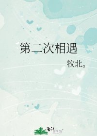 《第二次相遇》