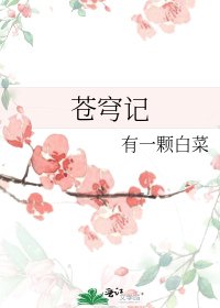 《苍穹记》