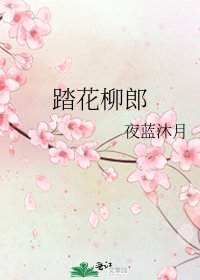 《踏花柳郎》