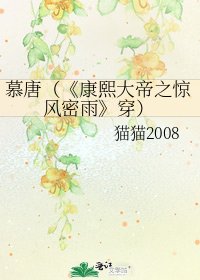 康熙大帝之驚風密雨