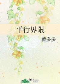 《平行界限》
