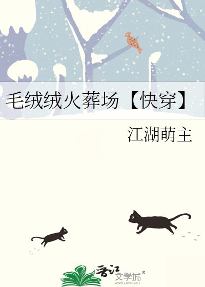 《毛绒绒火葬场【快穿】》