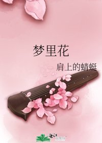 《梦里花》