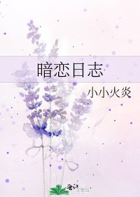 《暗恋日志》