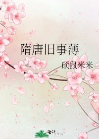 《隋唐旧事薄》