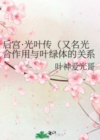 《后宫·光叶传(又名光合作用与叶绿体的关系分析)》