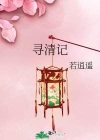 《寻清记》