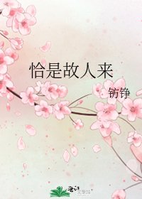 《恰是故人来》