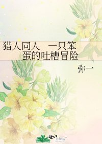 《猎人同人 一只笨蛋的吐槽冒险》