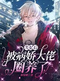《失忆后被病娇大佬圈养了》