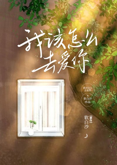 《我该怎么去爱你》