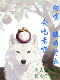向哨：狼为什么会吃素啊！