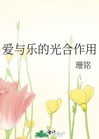 《爱与乐的光合作用》