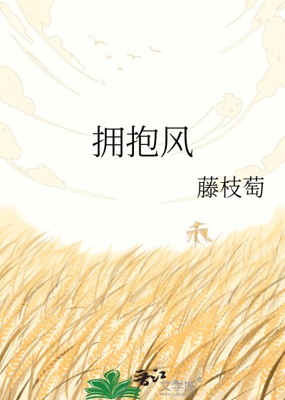 拥抱风