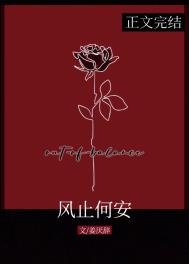 《風止何安》