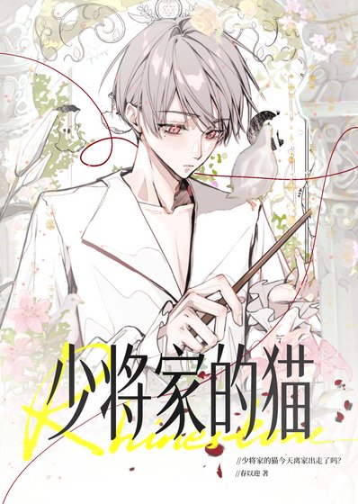 《少将家的猫今天离家出走了吗》