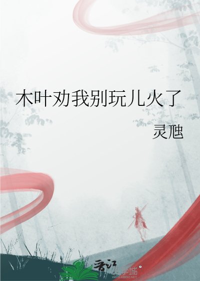 《木叶劝我别玩儿火了》