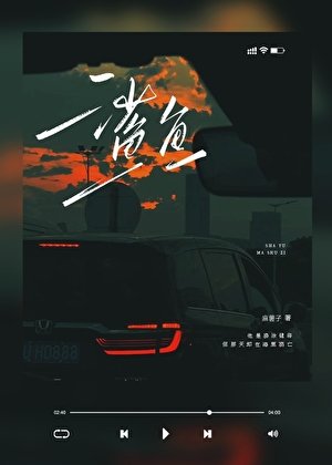 鲨鱼