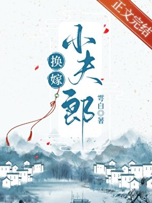《换嫁小夫郎》