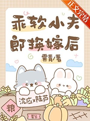 乖软小夫郎换嫁后